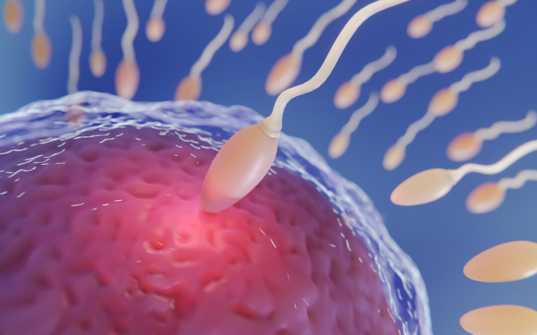 Congelamento de Embriões na Fertilização in Vitro